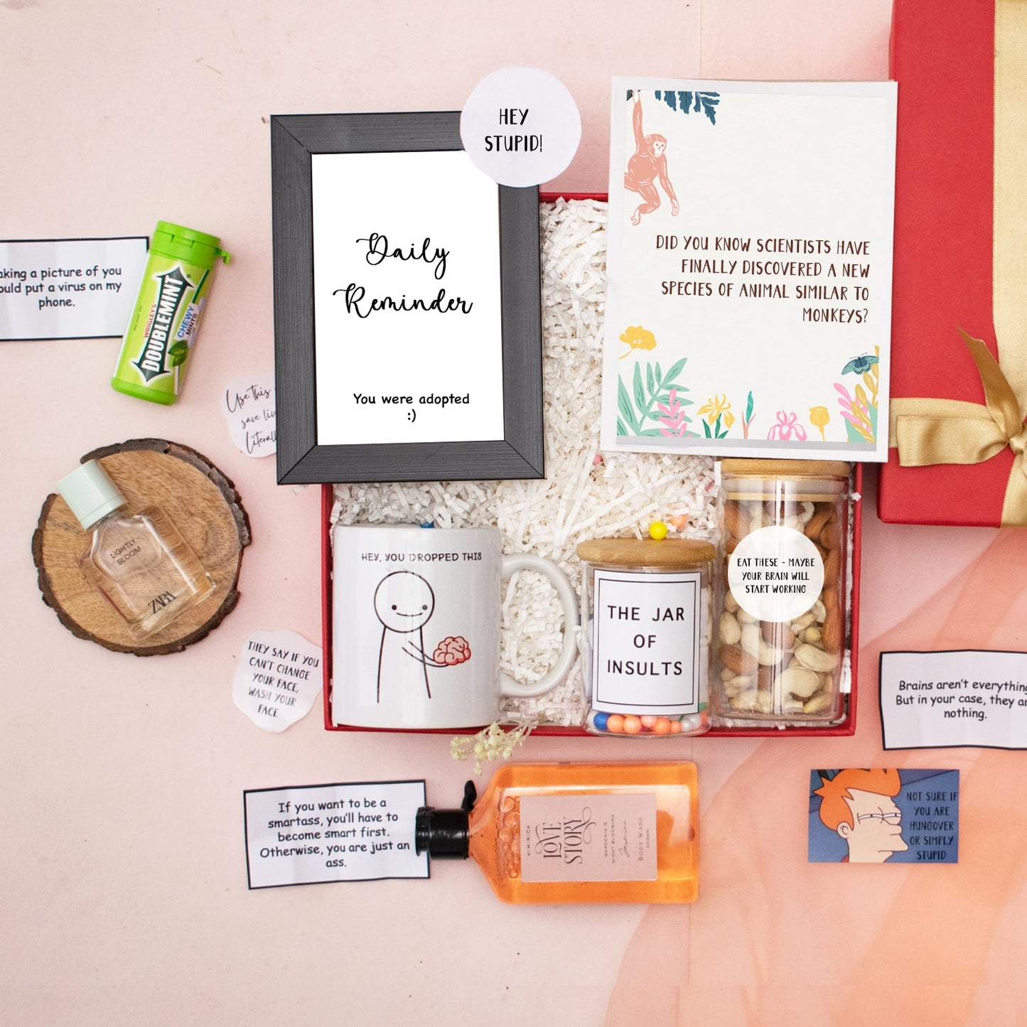 Gift Box of Insults for Sister